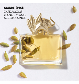 JUNGLE - Eau de Parfum